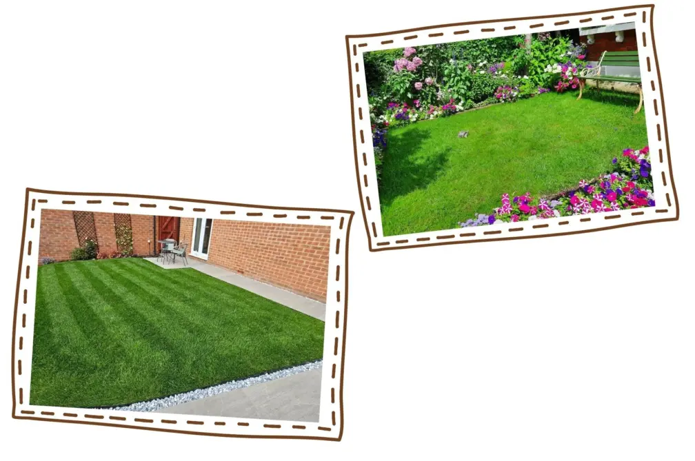Rye gold turf customer feedback