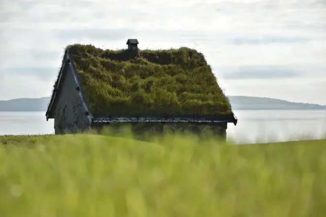 Green roof